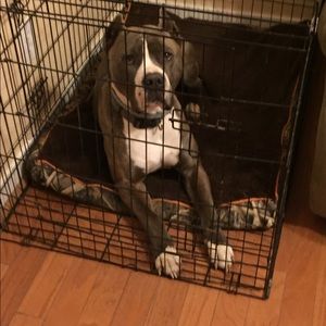 Meet your Posher, Chavon